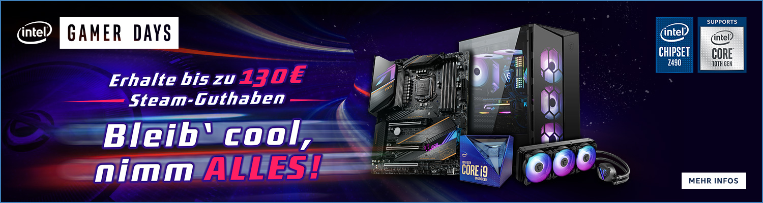 Z490 Steam-Aktion